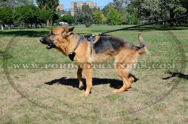 Leather Padded German Shepherd Harness Training Dog Gear