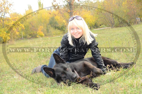 Walking German Shepherd Harness Leather Training Dog Item