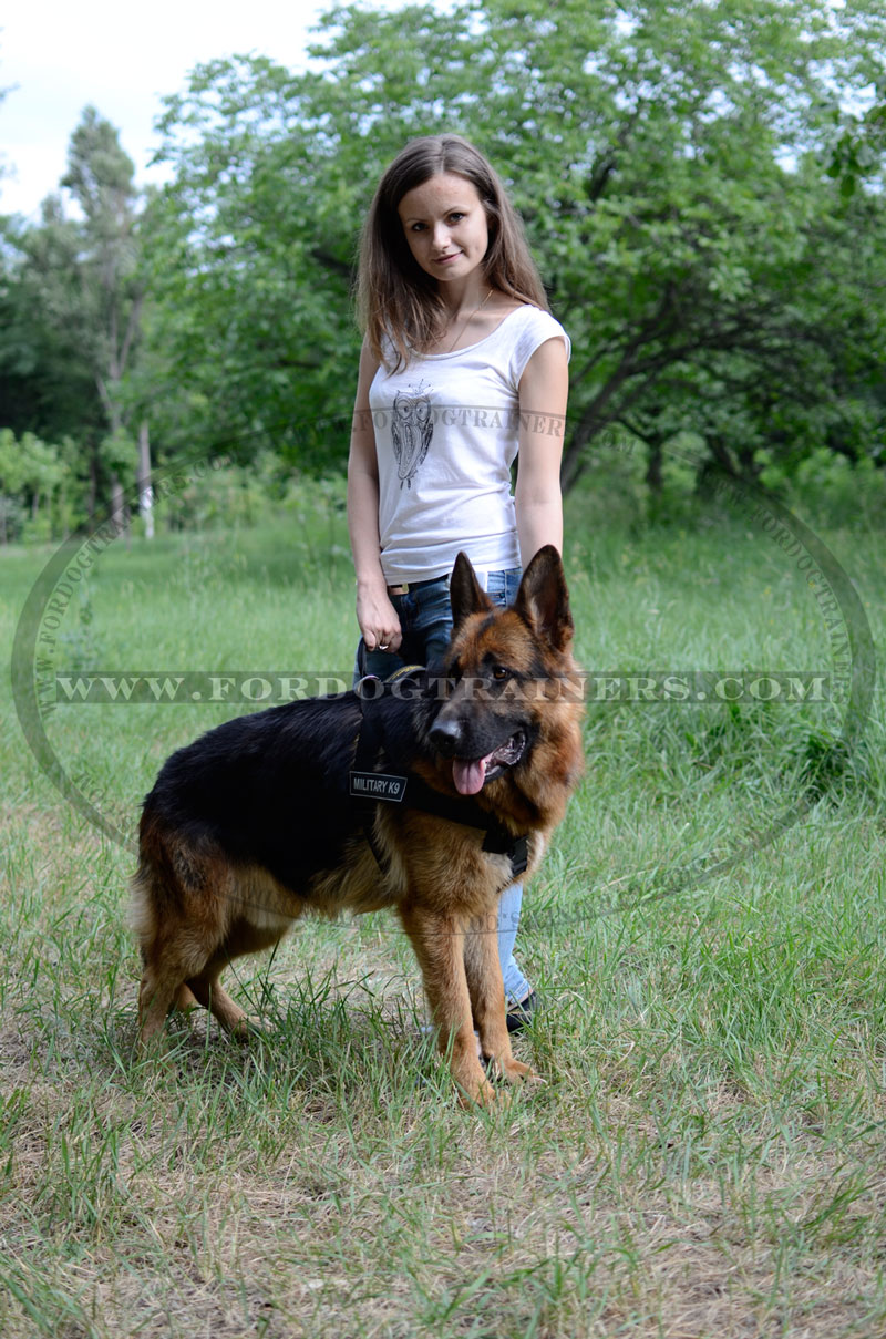 Buy German Shepherd Control Harness for Dogs