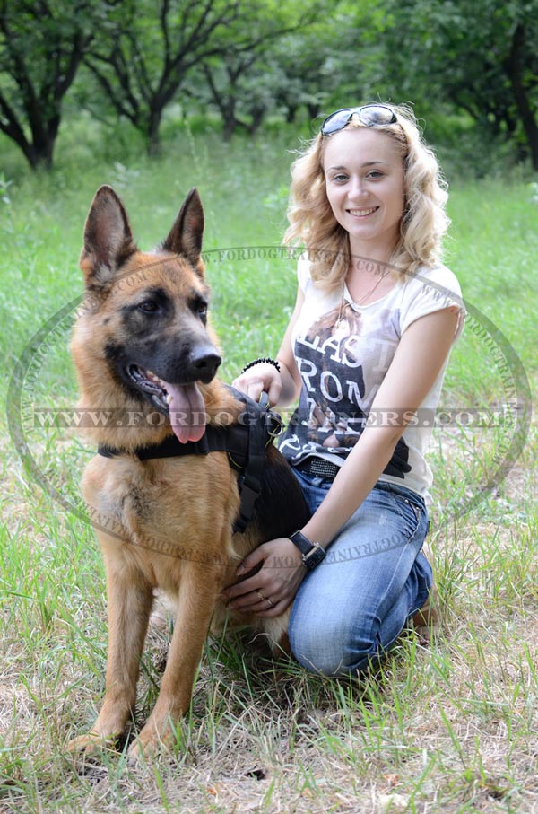 Nylon Adjustable German Shepherd Harness Pulling Training