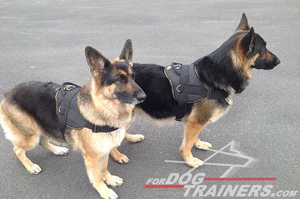 Light Nylon German Shepherd Harness Tracking Dog Supply with Handle