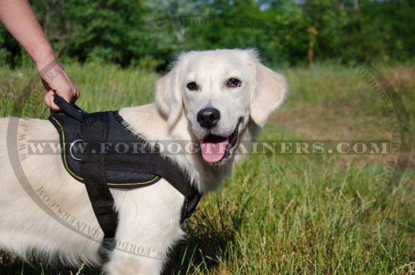 Nylon Golden Retriever Harness with Extra Strng Handle for Better Control