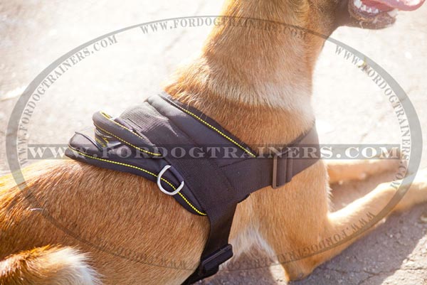 D-ring of Adjustable Nylon Belgian Malinois Harness with handle