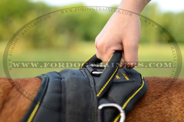 Round Handle of Nylon English Bulldog Harness