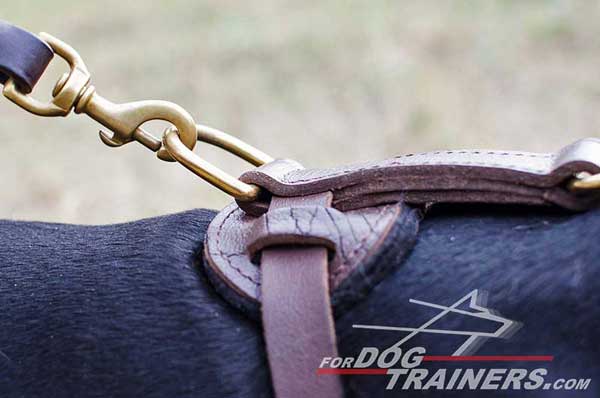 Rust resistant brass hardware for leather Doberman harness