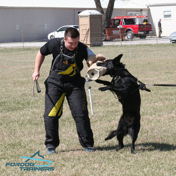 Padded Leather German Shepherd Harness for Daily Training