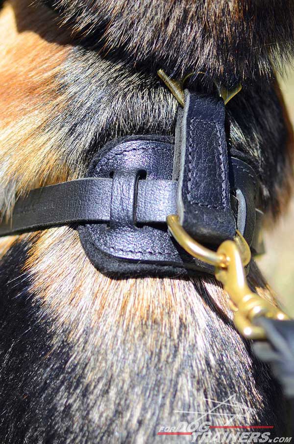Leather Padded Back Plate of Training German Shepherd Harness Adjuatable