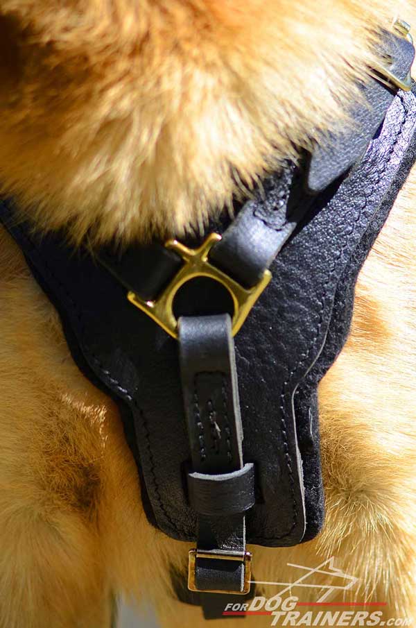 Leather Padded Chest Plate of Adjustable German Shepherd Leather Harness