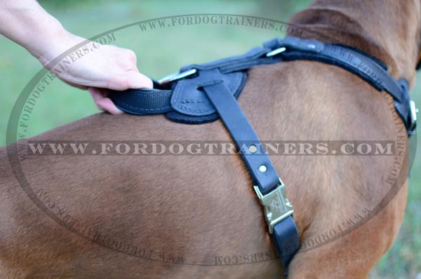 Leather Padded Handle for Agitation Training Harness