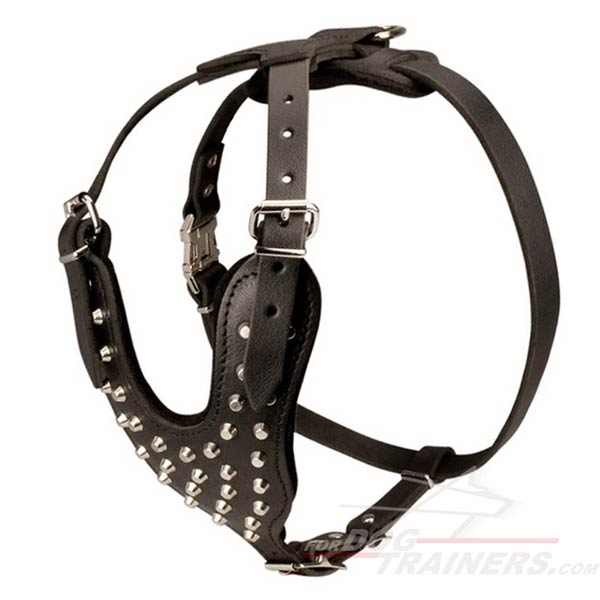 Soft and Strong Leather Harness