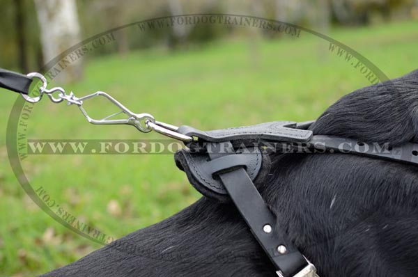 Felt padded dog harness on back plate