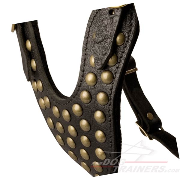 Adjustable Soft Studded Chest Plate for Cane Corso Comfort