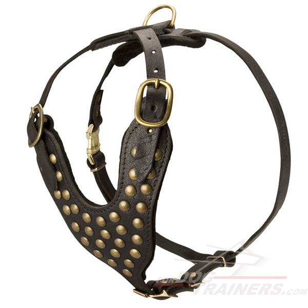 Designer Leather Dog Harness with Adjustable Straps