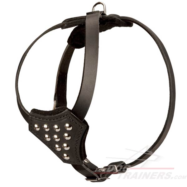 Designer Leather Dog Harness with Half Ball Studs