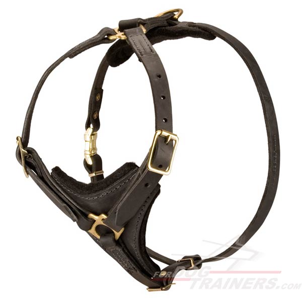 Leather dog harness