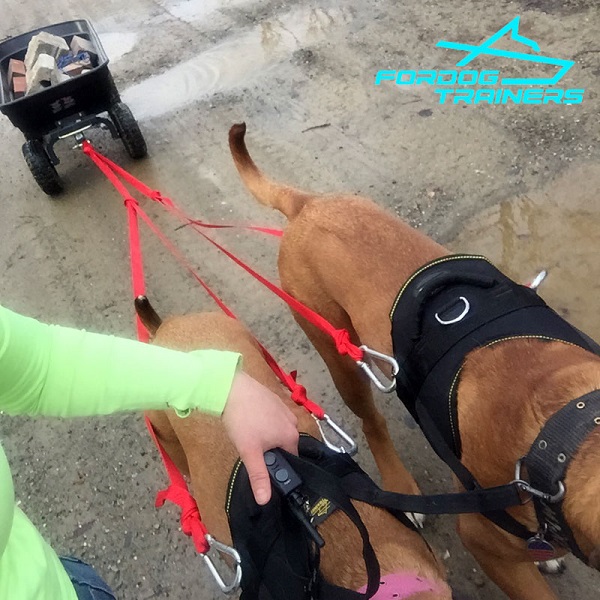 Buddy Mastiff Pulling in Extra Durable Nylon Dog Harness