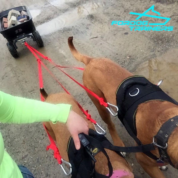 Buddy Mastiff Pulling in Extra Durable Nylon Dog Harness