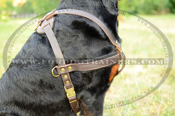 Leather Dog Harness with easy release buckle