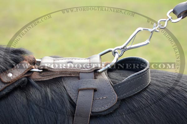 Durable Nickel D-Ring on Adjustable German Shepherd Harness Leather