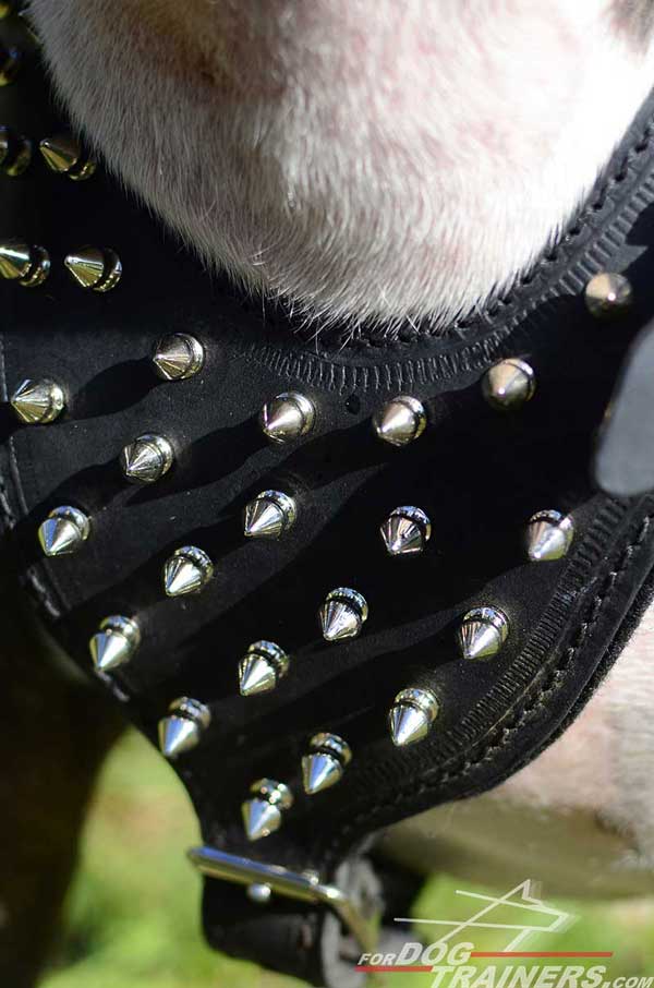 Nickel Plated Spikes on Leather Dog Harness Chest Plate