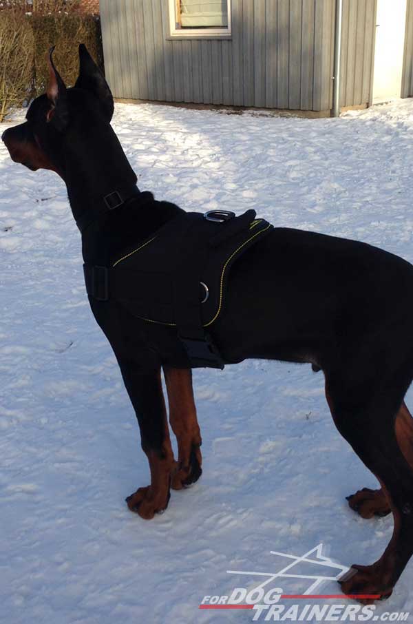 All Weather Nylon Dog Harness for Doberman breed tracking
