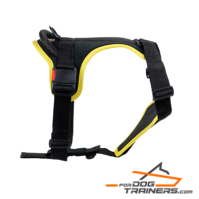 Easy to Control Nylon Harness Harness for Daily Activity