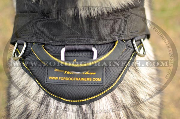 Top D-ring for leash attachment