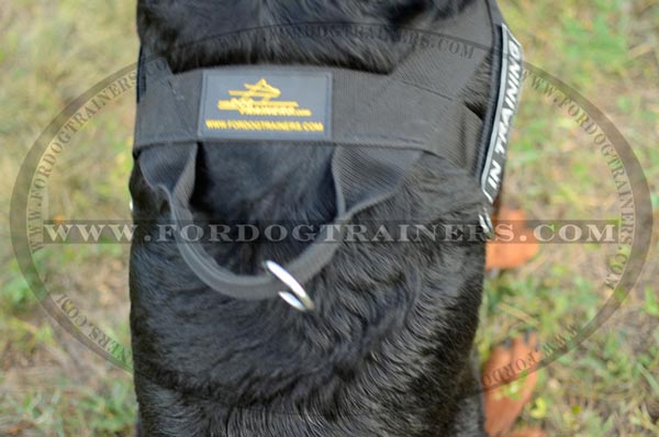 Strong Dog Harness with handle