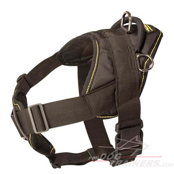 Perfect Dog Harness for Control Over Beagle