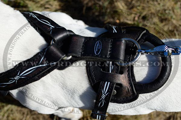 Back Plate of Leather Padded Dog Harness