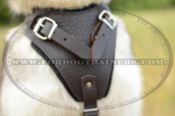 Wide Chest Plate of Leather Dog Harness for Siberian Husky