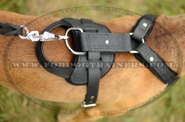 Top D-ring for leash attachment