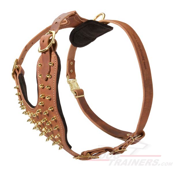 Brass Spiked Leather Dog Harness