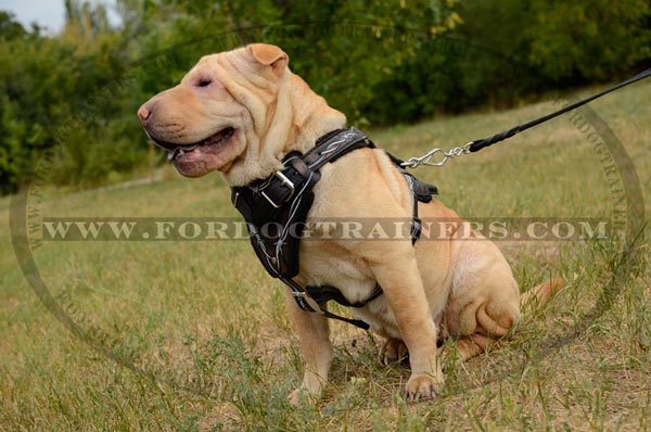 Leather Canine Harness for Attack Training