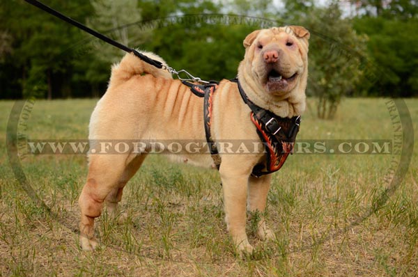 Sharpei Leather Dog Harness for Attack Training