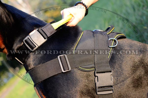 Side D-Rings and Plastic Buckle of Adjustable Nylon Doberman Harness