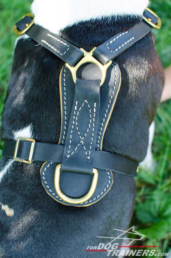 Stiched Back Plate of Leather Dog Harness