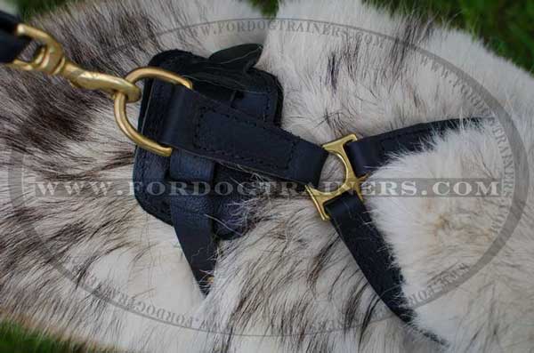 Corrosion resistant brass hardware for Siberian Husky harness