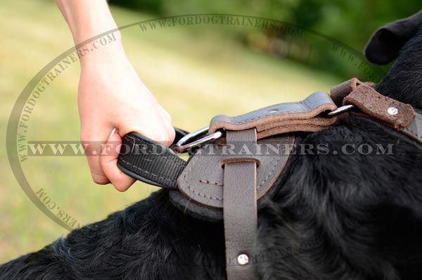 Control handle stitched into the dog harness