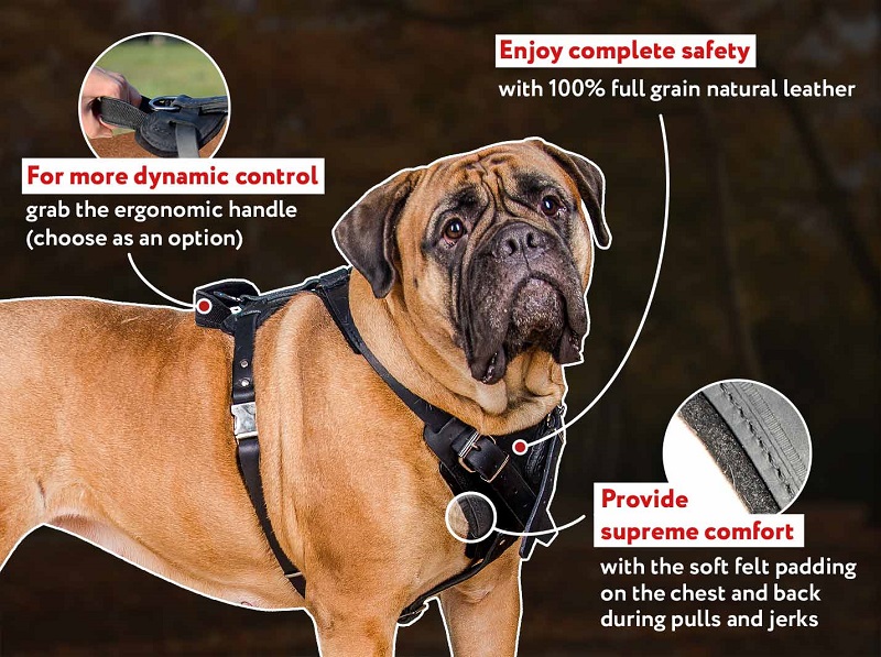 Top Quality Attack Training Leather Dog Harness