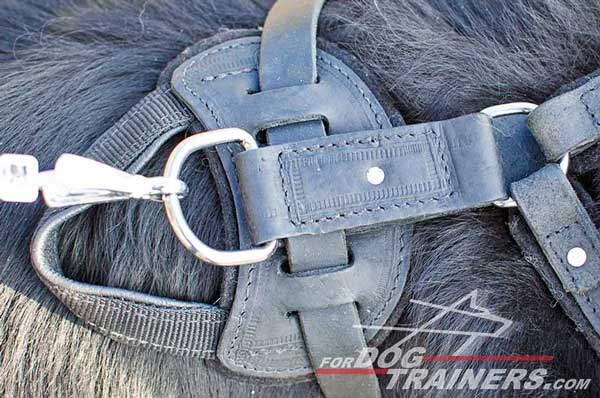 Rust resistant nickel plated fittings for leather Newfoundland harness