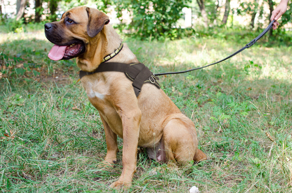 Tracking Walking Nylon Dog Harness