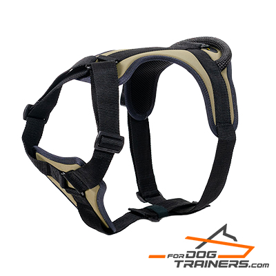 Nylon Dog Harness With Padded Chest Plate