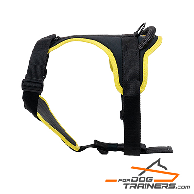 All-Weather Dog Harness with Padded Chest Plate