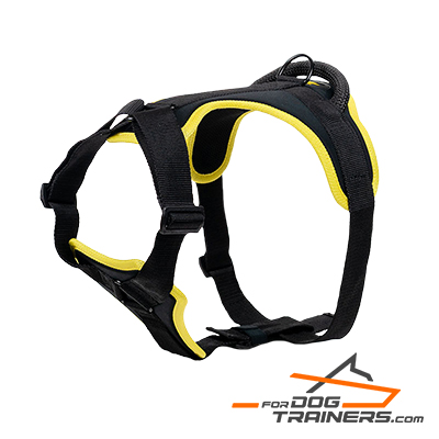 All-Weather Dog Harness with Padded Chest Plate