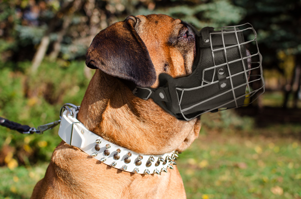 Training Leather and Wire Cage German Shepherd Muzzle