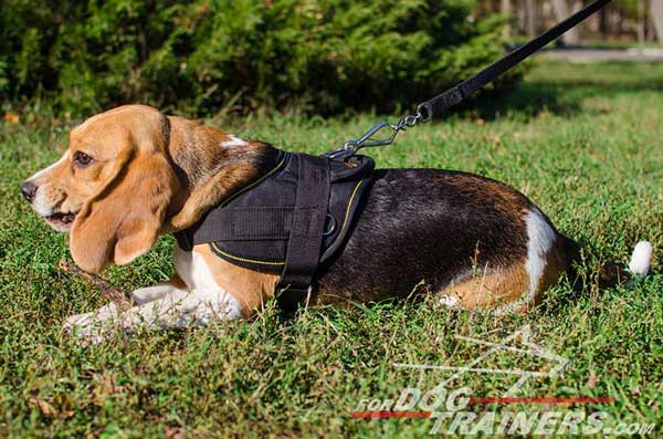 Beagle Harness Nylon For Pulling Cargoes And Walking