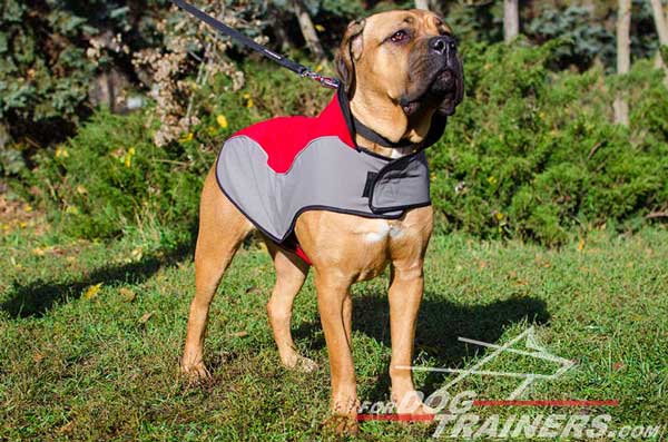 Nylon Dog Harness Insulating Heat for Cane Corso