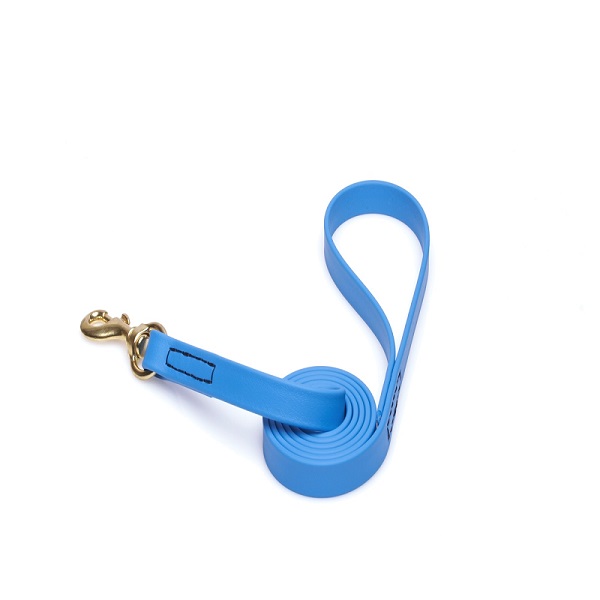 Dog Leash for Walking