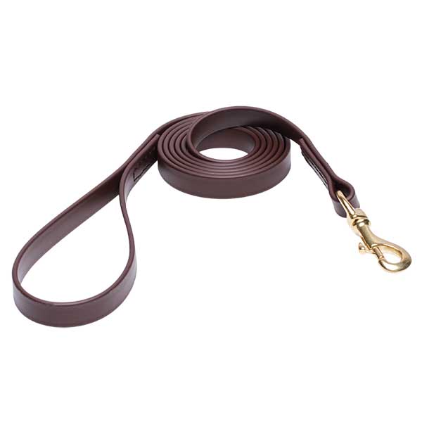 Dog Leash for Walking